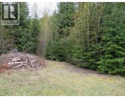 Lot B 3 Highway, Salmo, BC V0G1Z0 Photo 3