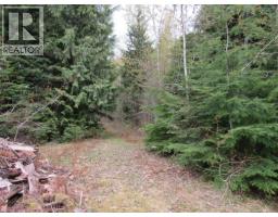 Lot B 3 Highway, Salmo, BC V0G1Z0 Photo 5