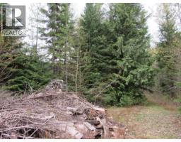 Lot B 3 Highway, Salmo, BC V0G1Z0 Photo 4
