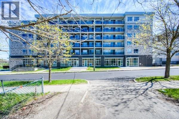 275 Larch Street Unit F 113