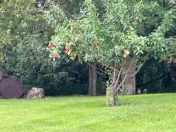 112061 Pth 25 Highway, Brandon, MB R0K1W0 Photo 3