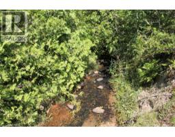 19 45 Spry Lake Road, Oliphant, ON N0H2T0 Photo 3