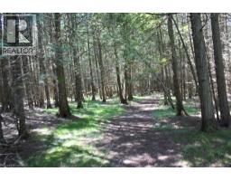 19 45 Spry Lake Road, Oliphant, ON N0H2T0 Photo 5