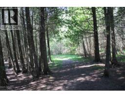 19 45 Spry Lake Road, Oliphant, ON N0H2T0 Photo 2