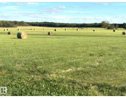 542 A Rrd 92, Rural Yellowhead, AB T0E2M0 Photo 4