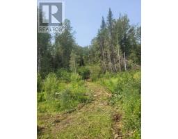 0 Dump Rd, Wabigoon, ON P0V1P0 Photo 3