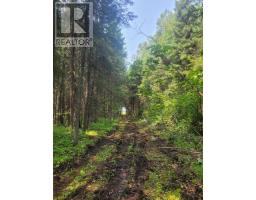 0 Dump Rd, Wabigoon, ON P0V1P0 Photo 2