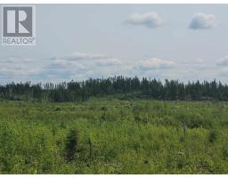 0 Dump Rd, Wabigoon, ON P0V1P0 Photo 5