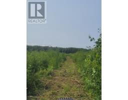 0 Dump Rd, Wabigoon, ON P0V1P0 Photo 4