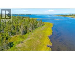 Lot Rue De Loutarde Street, Pointedesrobichaud, NB E1X4G7 Photo 5