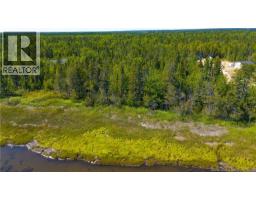 Lot Rue De Loutarde Street, Pointedesrobichaud, NB E1X4G7 Photo 4