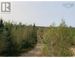 Lot 1 Pleasant River Preserve, Pleasant River, NS B0T1X0 Photo 4