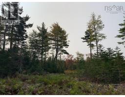Lot 3 Pleasant River Preserve, Pleasant River, NS B0T1X0 Photo 5