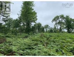 Lot 4 Pleasant River Preserve, Image 2