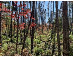 Lot 5 Pleasant River Preserve, Image 3