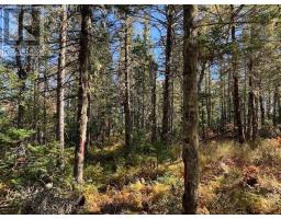 Lot 1 Pleasant River Preserve, Image 3