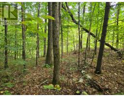 0 Second Depot Lake Road, Frontenac, ON K0H1T0 Photo 5