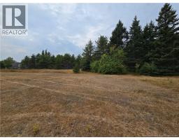 1 7 Acres Route 370, Hautsheila, NB E1X1B1 Photo 5