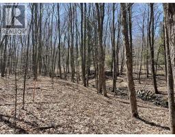 Lot 1 Colonial Road, Minden, ON K0M2K0 Photo 5