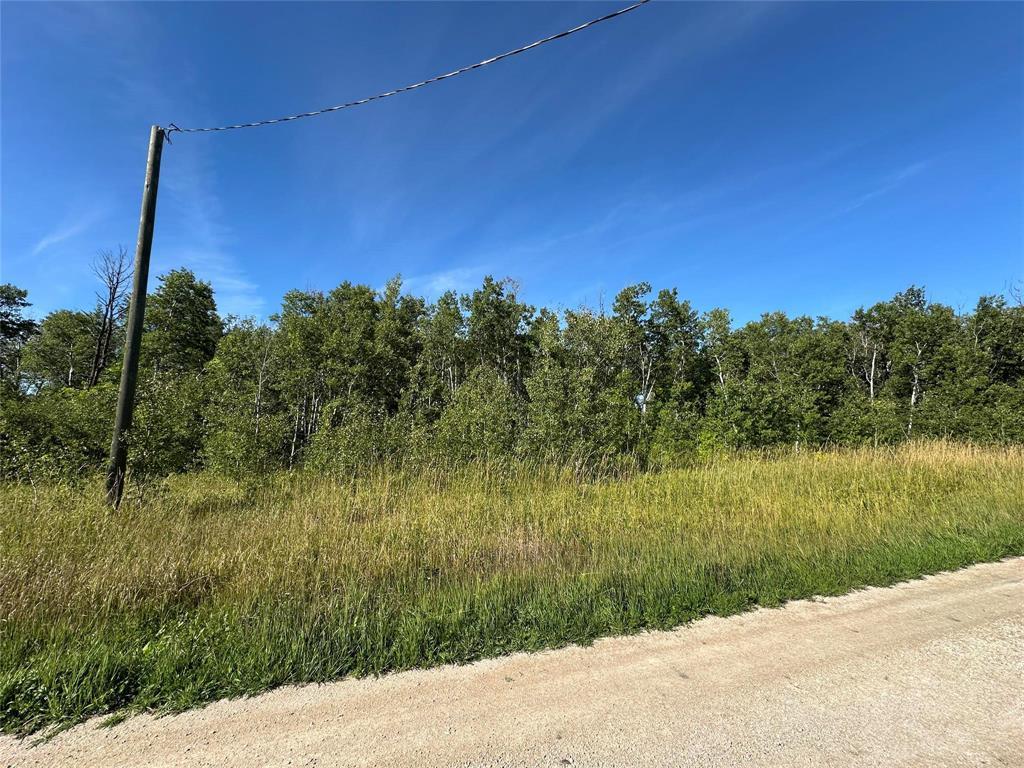 2 Night Swimming Drive