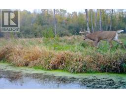 3691 Bolingbrooke Road, Tay Valley, ON K0H2B0 Photo 5