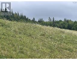 204 Highway, Irish Cove, NS B2E1E5 Photo 3