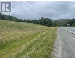 204 Highway, Irish Cove, NS B2E1E5 Photo 4