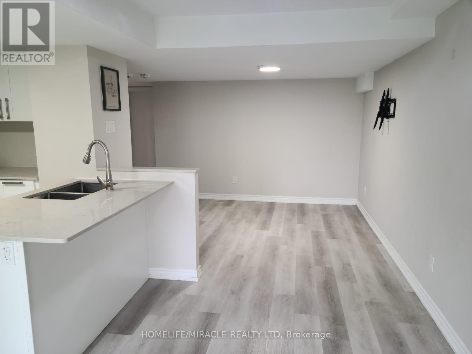 Basement 110 Hibbard Drive