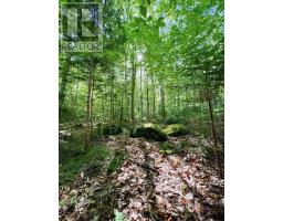 Lot 40 Cliff Road, New Russell, NS B0J2M0 Photo 4