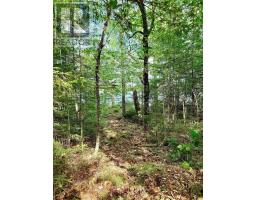 Lot 40 Cliff Road, New Russell, NS B0J2M0 Photo 5