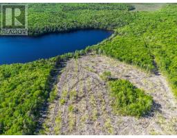 Lot Danvers Road, Danvers, NS B0W3T0 Photo 4