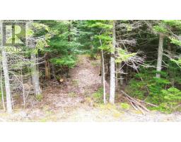Lot 11 Whiteside Road, Whiteside, NS B0E1J0 Photo 2