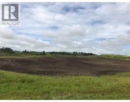 9001 90 Street, Sexsmith, AB T0H3C0 Photo 3