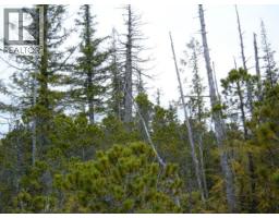 Lot 2 Highway 16, Daajing Giids Rural, BC V0T1R0 Photo 3