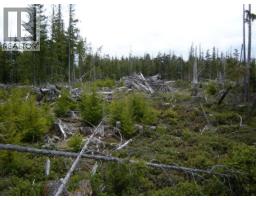 Lot 2 Highway 16, Daajing Giids Rural, BC V0T1R0 Photo 5