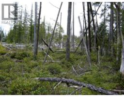 Lot 2 Highway 16, Daajing Giids Rural, BC V0T1R0 Photo 4