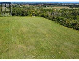 12 Sydenham Trail, Clearview, ON L0M1H0 Photo 5