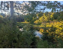 00000 Opeongo Line, Madawaska Valley, ON K0J1B0 Photo 2