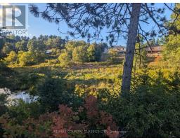 00000 Opeongo Line, Madawaska Valley, ON K0J1B0 Photo 3