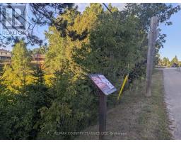 00000 Opeongo Line, Madawaska Valley, ON K0J1B0 Photo 4