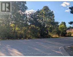 00000 Opeongo Line, Madawaska Valley, ON K0J1B0 Photo 5