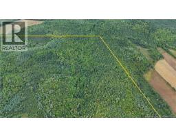 98 9 Acres Route 355, Sainte Rose, NB E1X2X1 Photo 5
