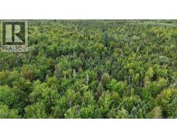 98 9 Acres Route 355, Sainte Rose, NB E1X2X1 Photo 4