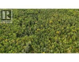 40 04 Hec Route 355, Sainte Rose, NB E1X2X1 Photo 4