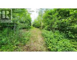 7 6 Acres Rue Pinet, Bertrand, NB E1X1L3 Photo 2