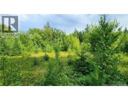 7 6 Acres Rue Pinet, Bertrand, NB E1X1L3 Photo 3