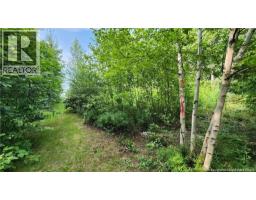 7 6 Acres Rue Pinet, Bertrand, NB E1X1L3 Photo 4