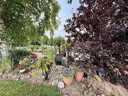 Primary Bedroom - 242 Learners Street, Minitonas, MB R0L1Z0 Photo 4