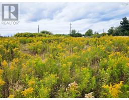 4614 Highway 2, Upper Economy, NS B0M1B0 Photo 3