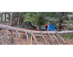 Pt Lt 22 23 Con 8 Kaladar, Addington Highlands, ON K0H2G0 Photo 5